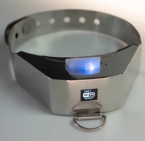Shock Collar